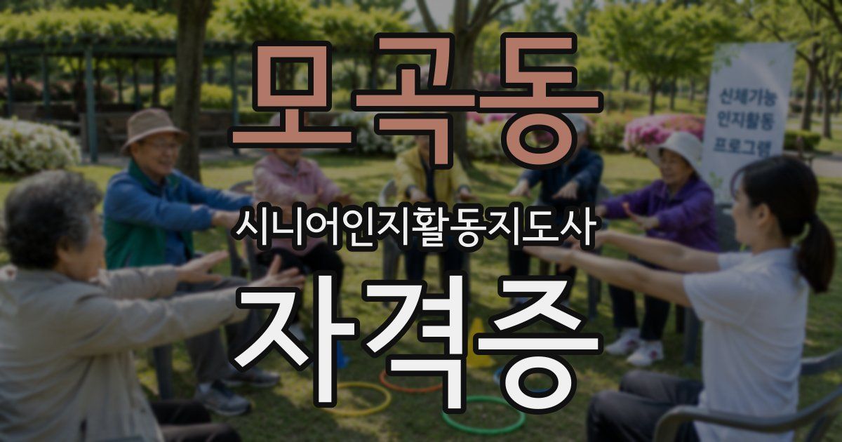 모곡동 시니어인지활동지도사 자격증
