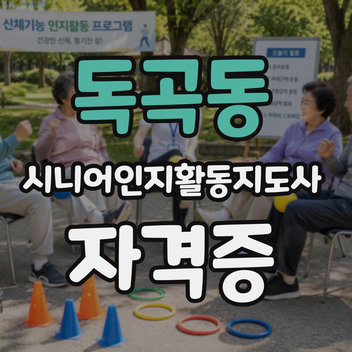 독곡동 시니어인지활동지도사 자격증