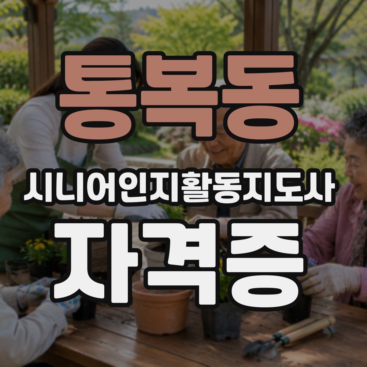 통복동 시니어인지활동지도사 자격증