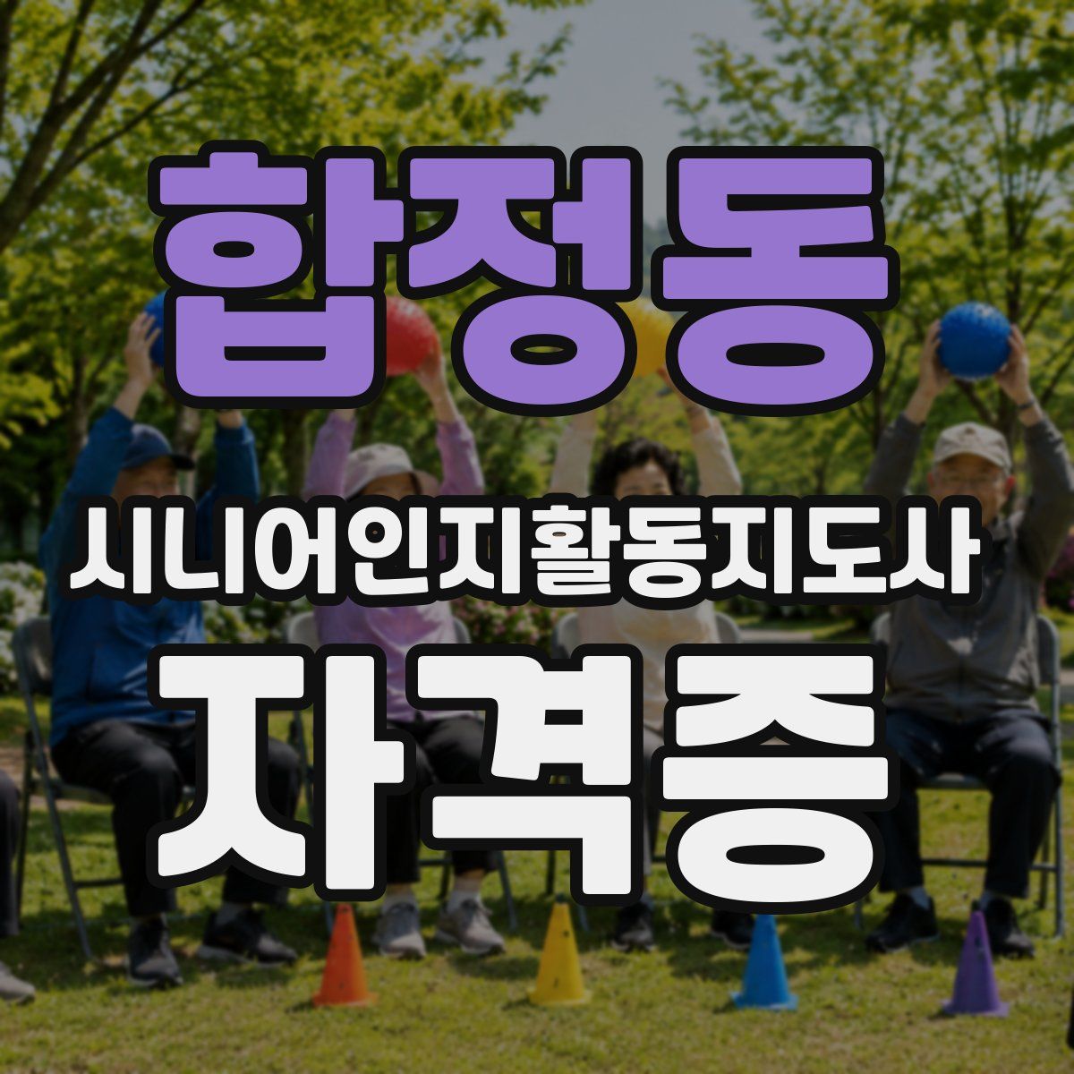 합정동 시니어인지활동지도사 자격증
