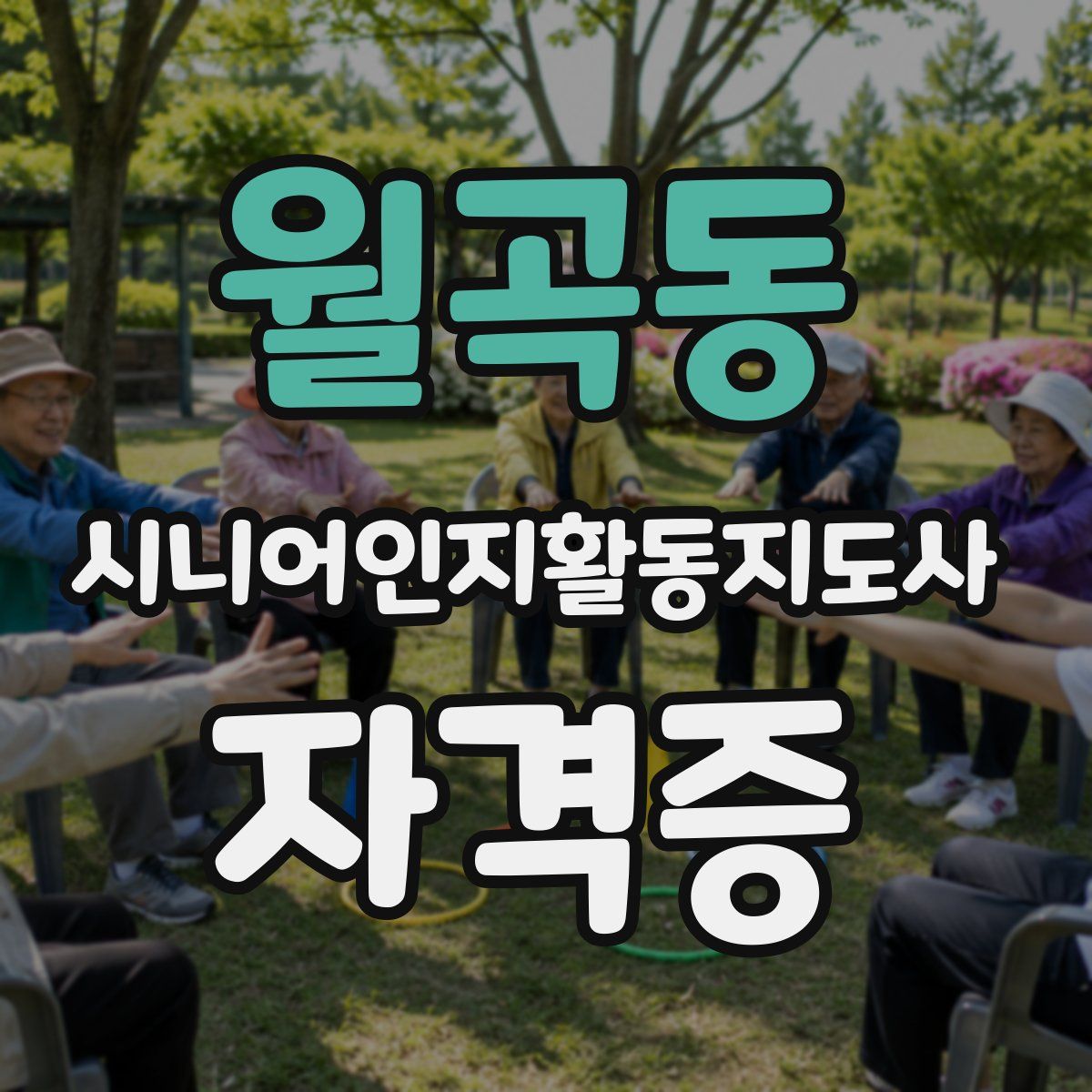월곡동 시니어인지활동지도사 자격증