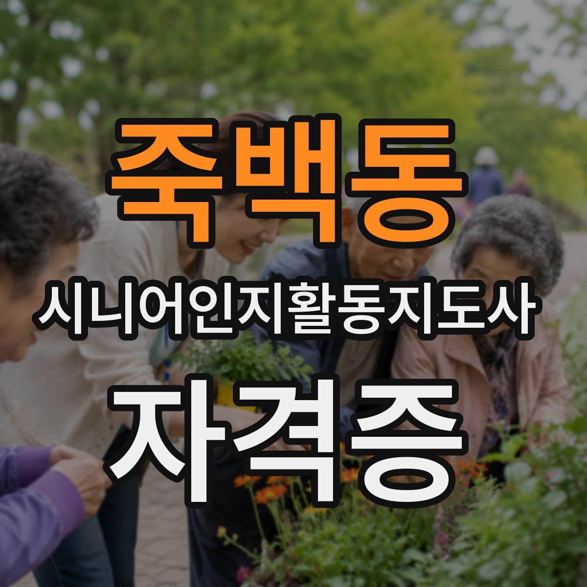 죽백동 시니어인지활동지도사 자격증
