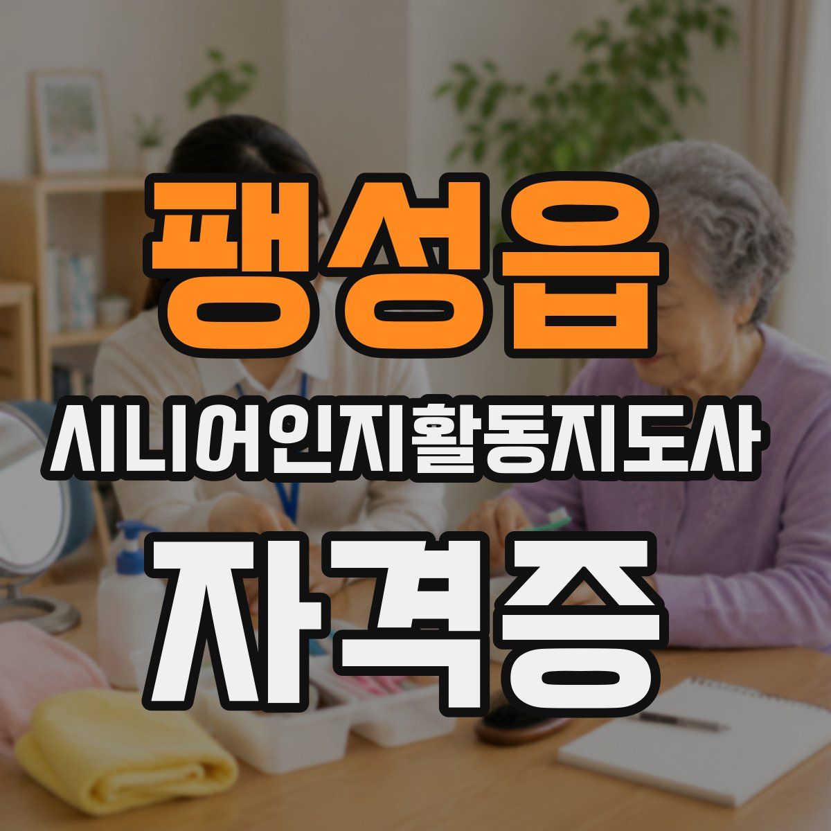 팽성읍 시니어인지활동지도사 자격증