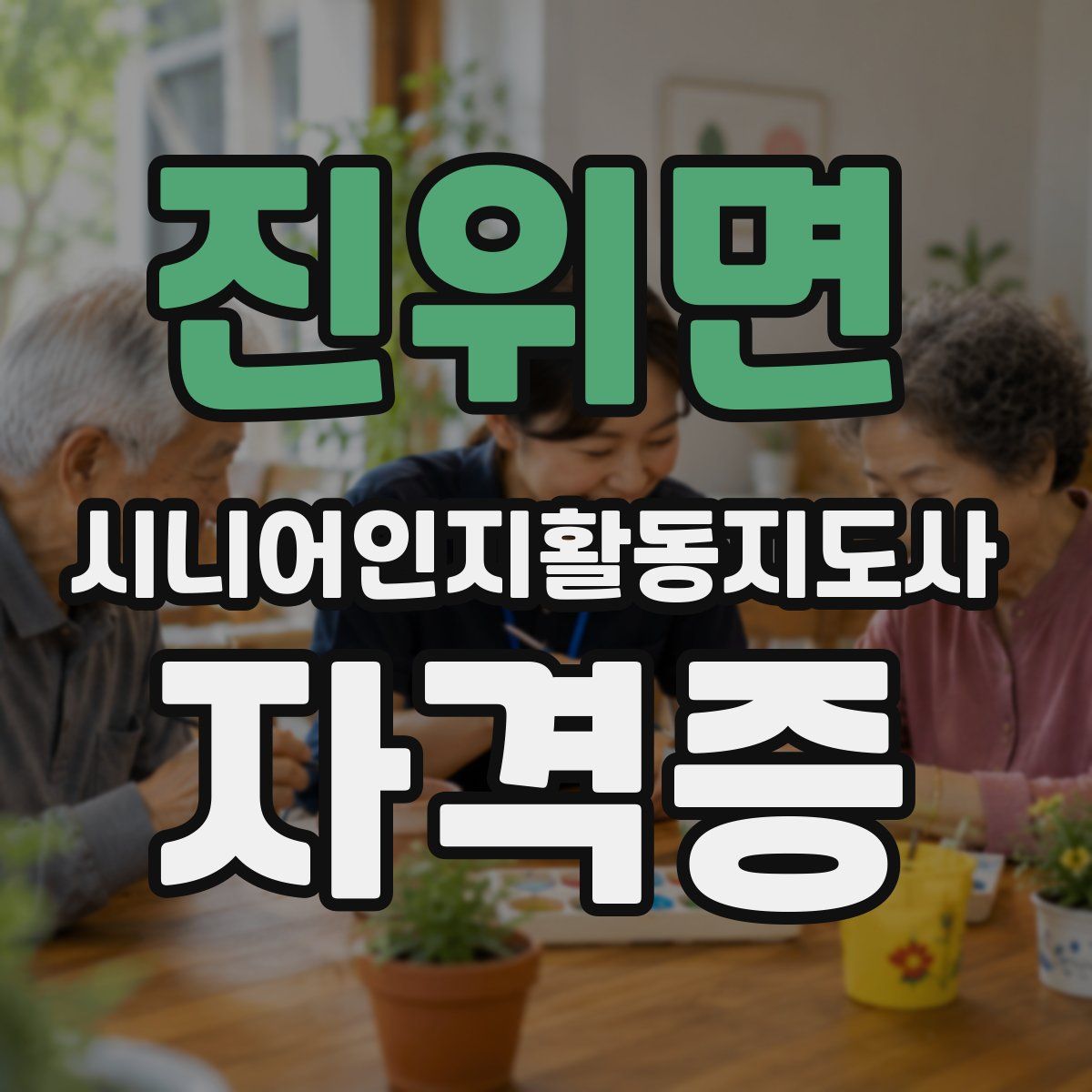 진위면 시니어인지활동지도사 자격증