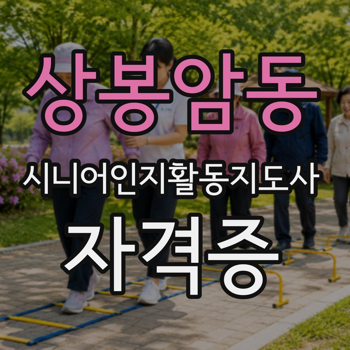 상봉암동 시니어인지활동지도사 자격증