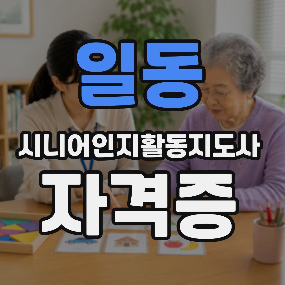 일동 시니어인지활동지도사 자격증