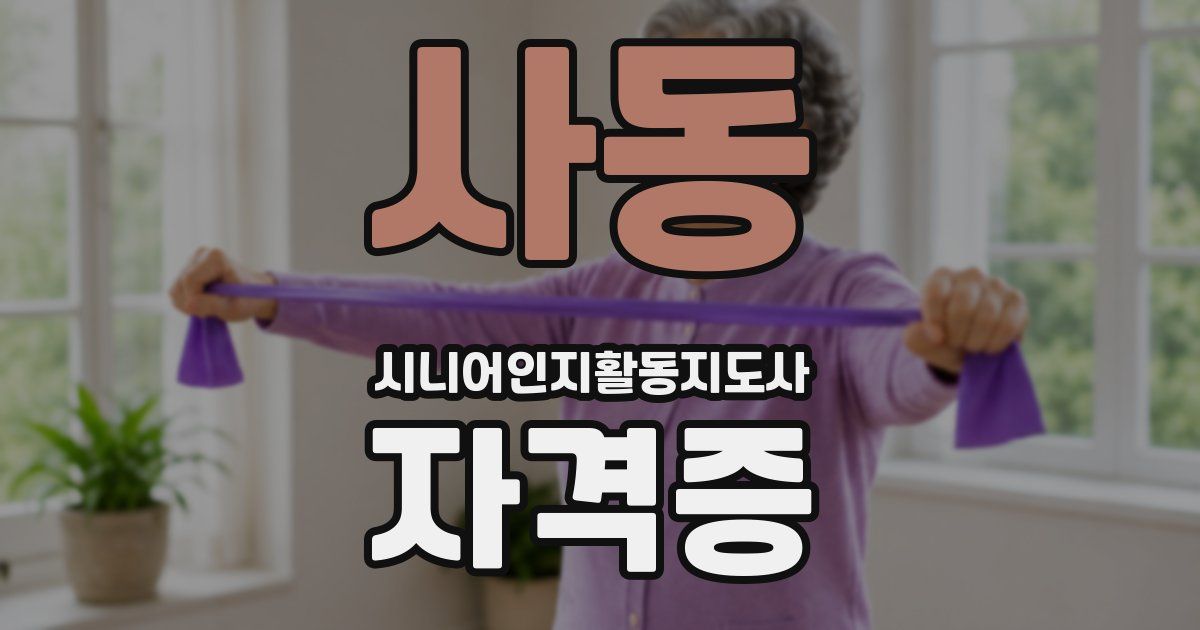 사동 시니어인지활동지도사 자격증