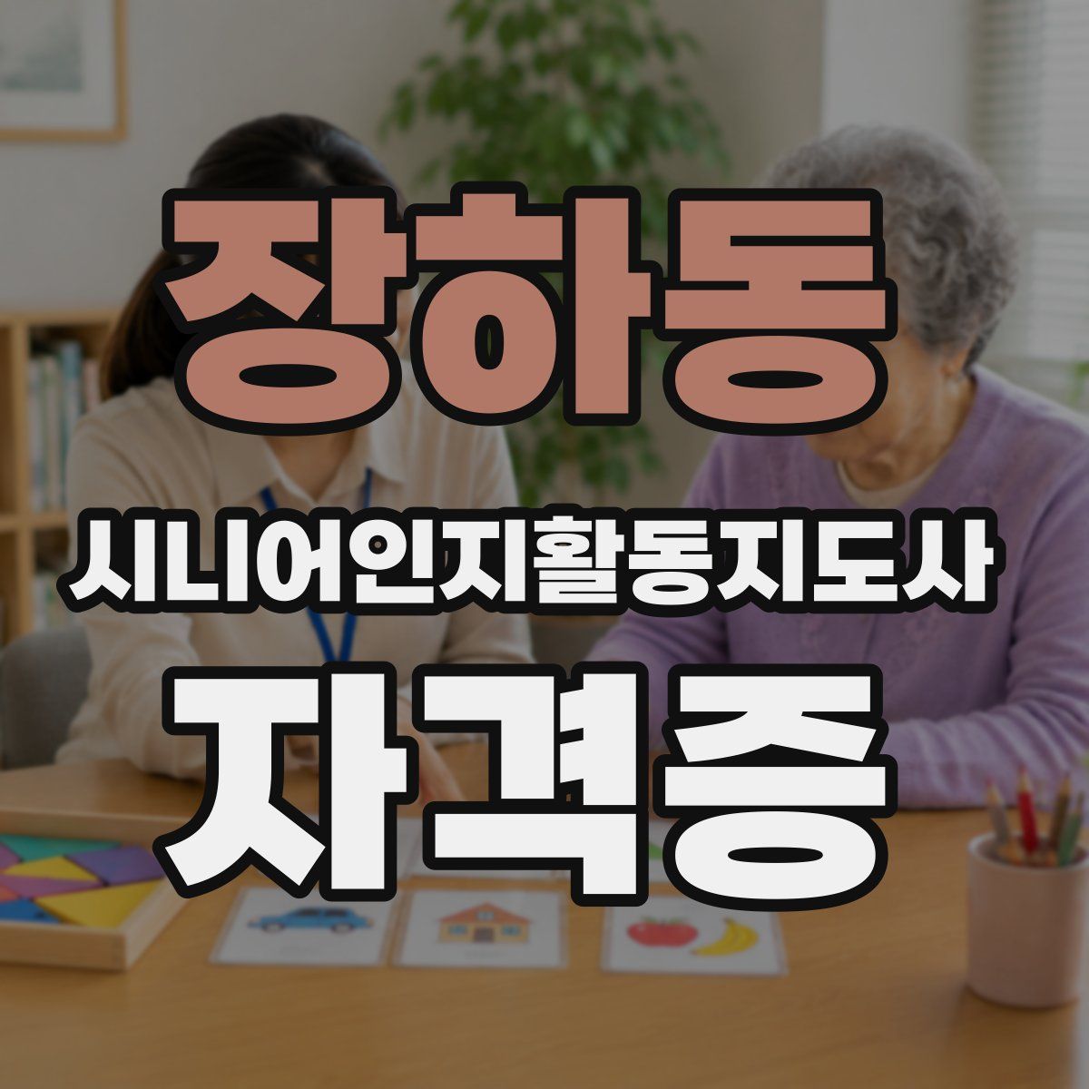 장하동 시니어인지활동지도사 자격증
