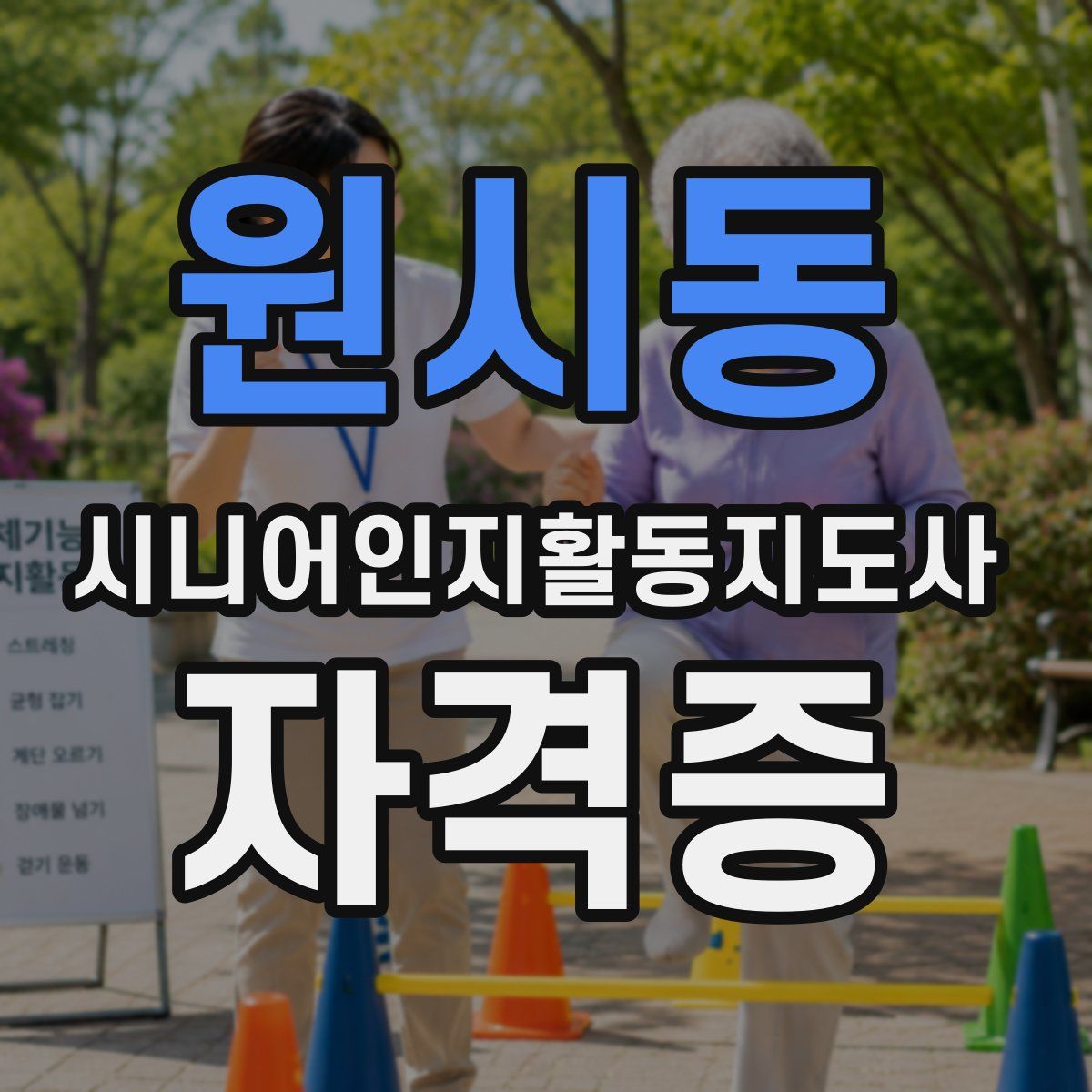 원시동 시니어인지활동지도사 자격증