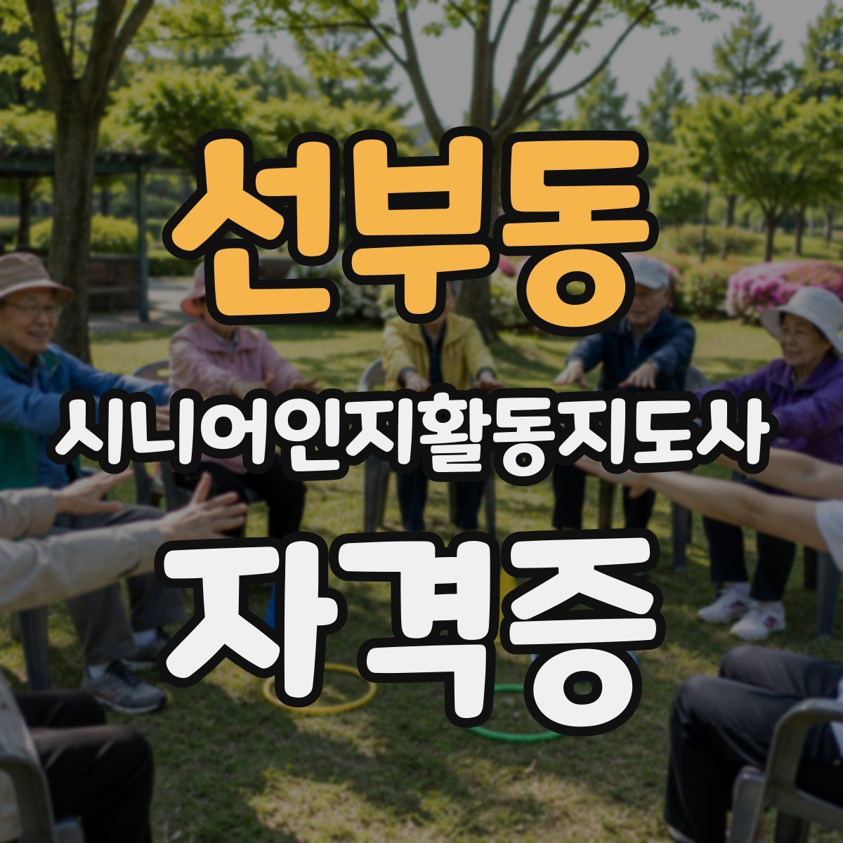 선부동 시니어인지활동지도사 자격증