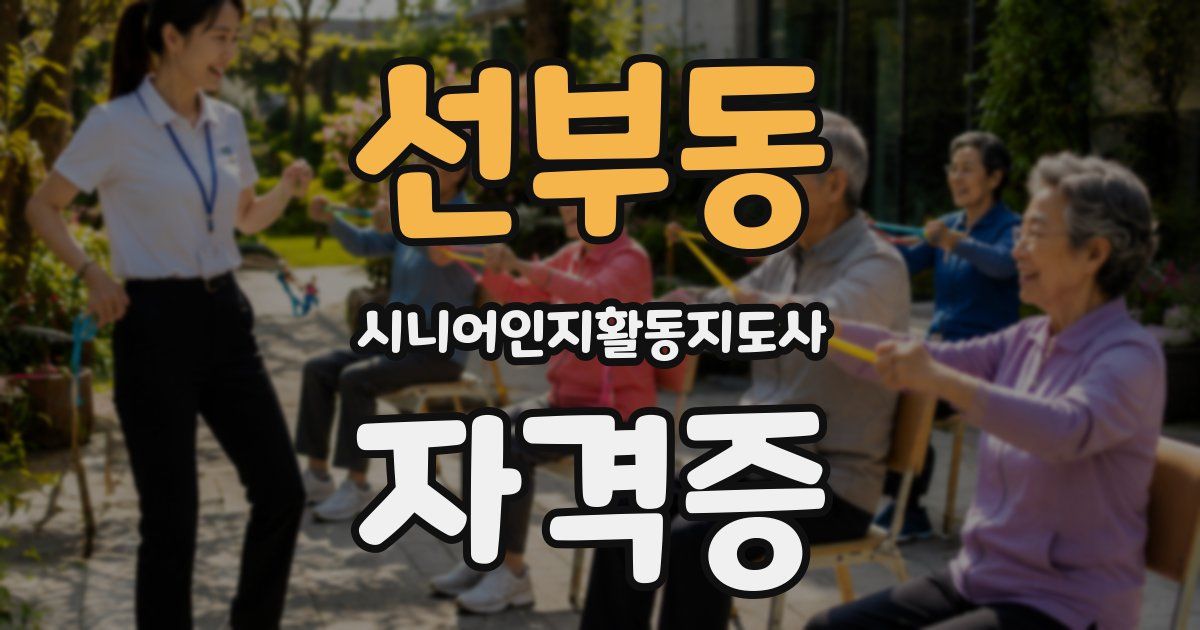 선부동 시니어인지활동지도사 자격증