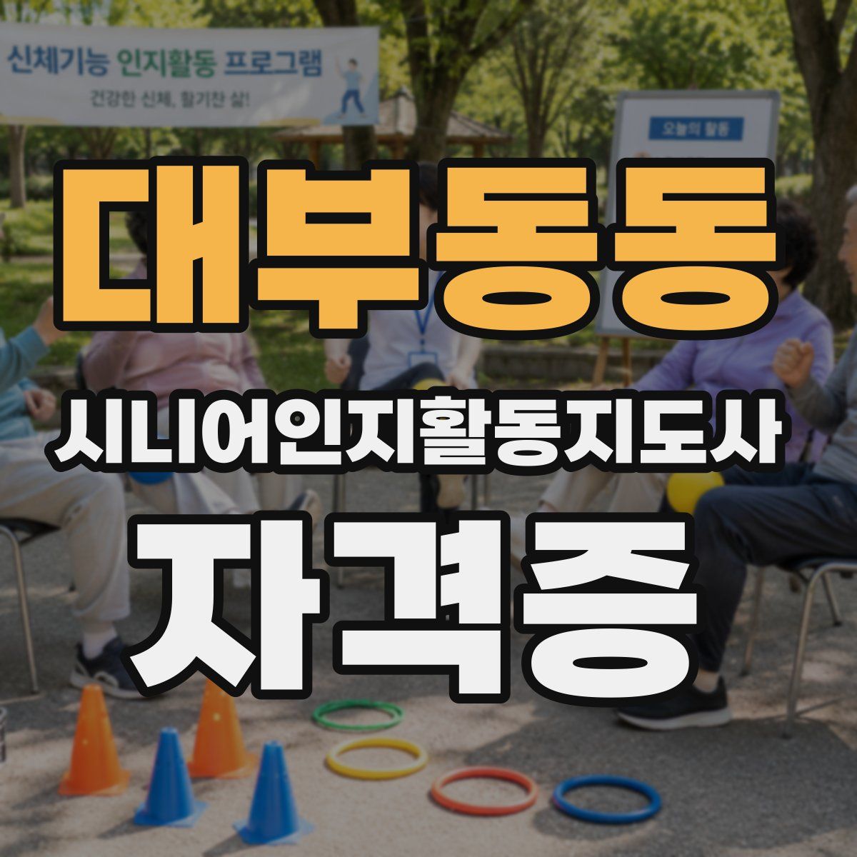 대부동동 시니어인지활동지도사 자격증