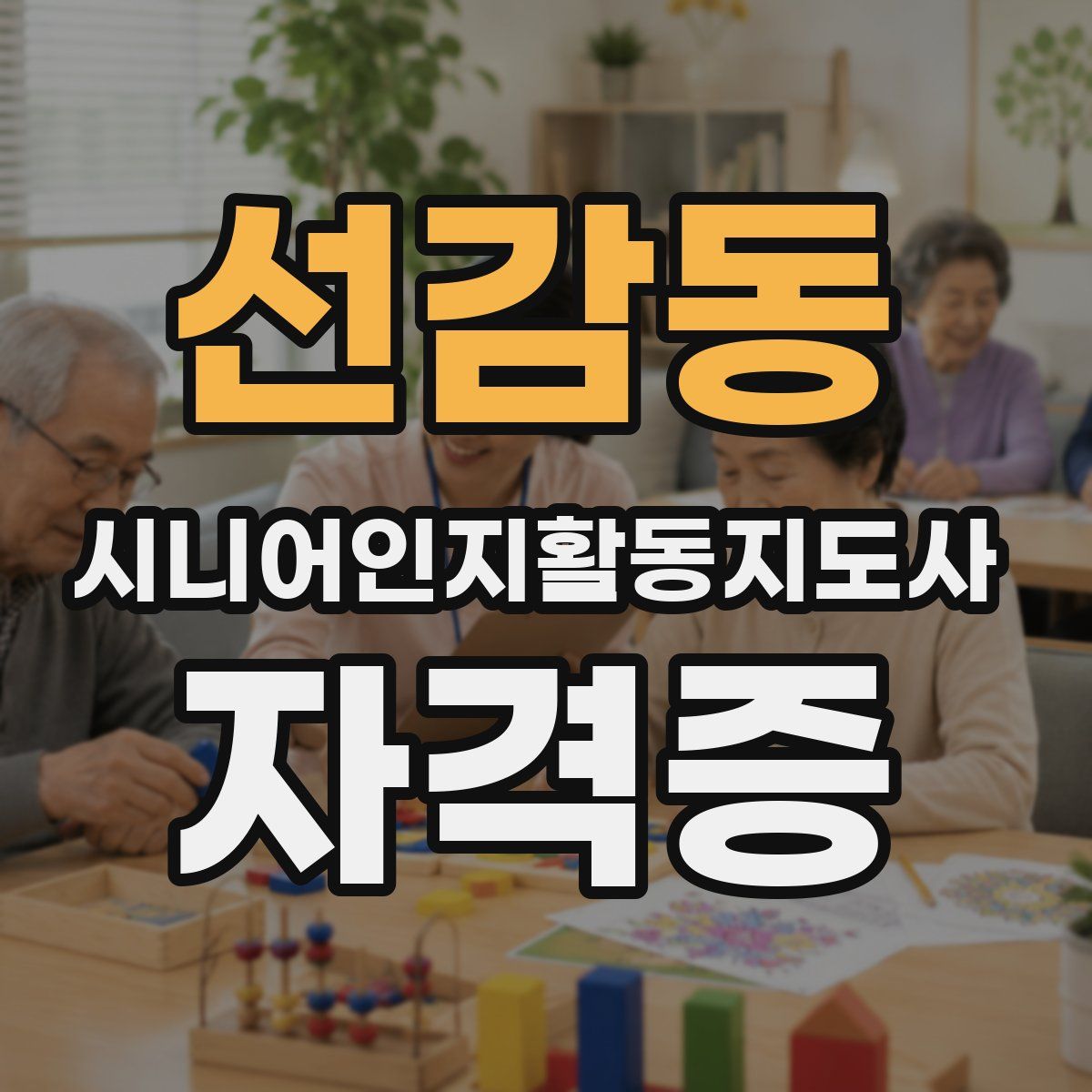 선감동 시니어인지활동지도사 자격증