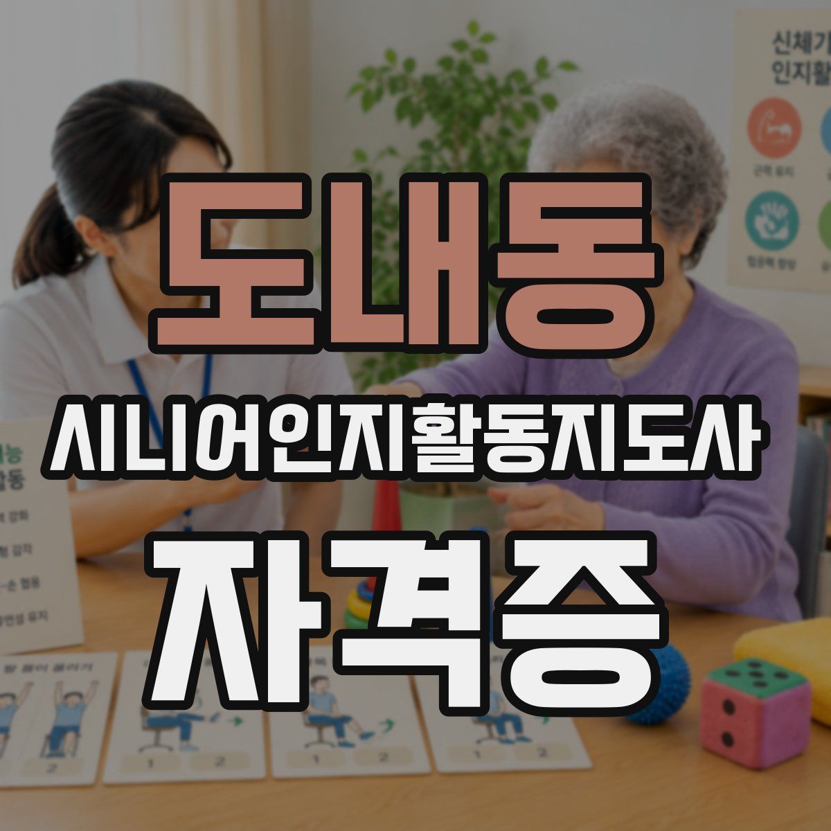 도내동 시니어인지활동지도사 자격증