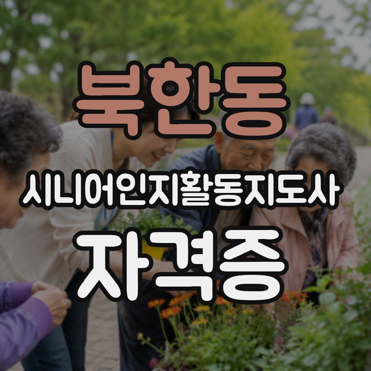 북한동 시니어인지활동지도사 자격증