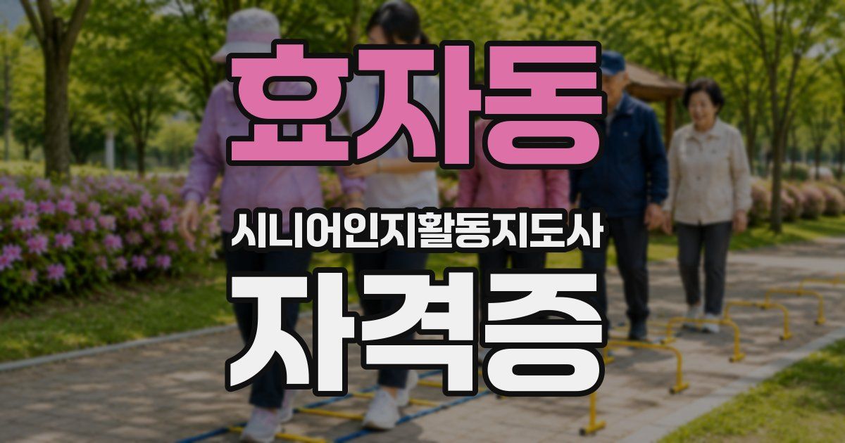 효자동 시니어인지활동지도사 자격증