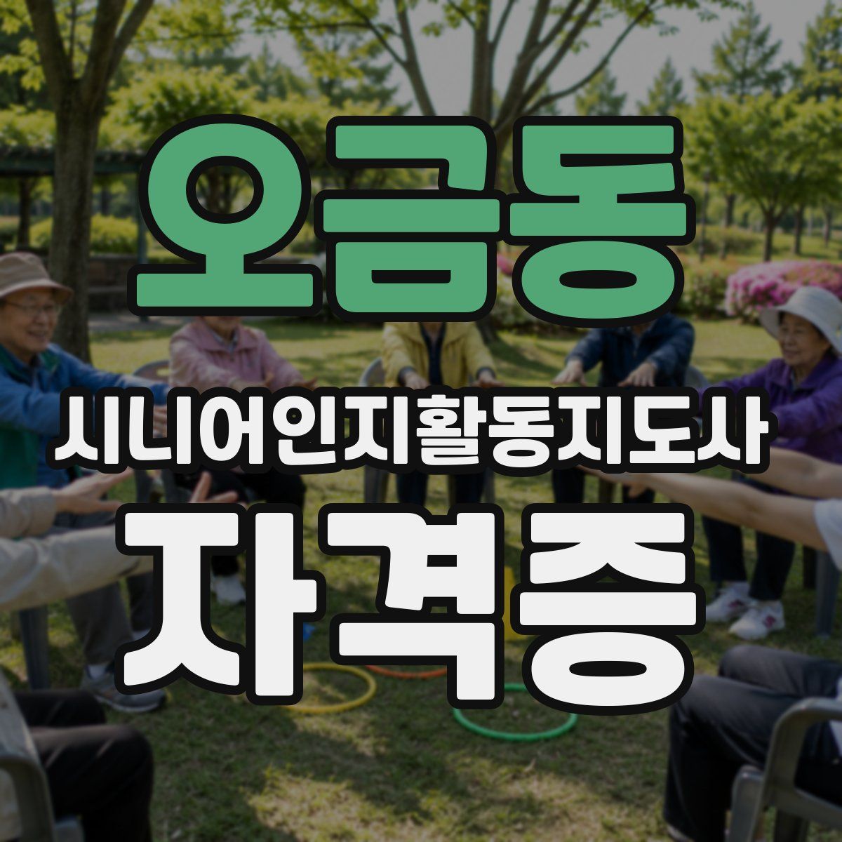 오금동 시니어인지활동지도사 자격증