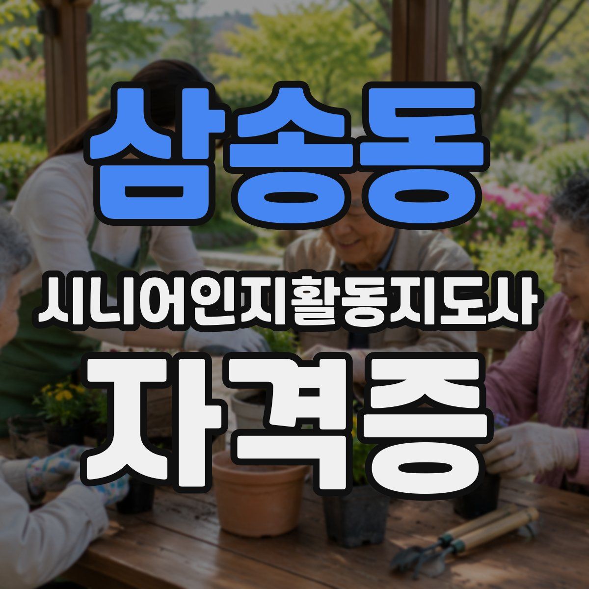 삼송동 시니어인지활동지도사 자격증