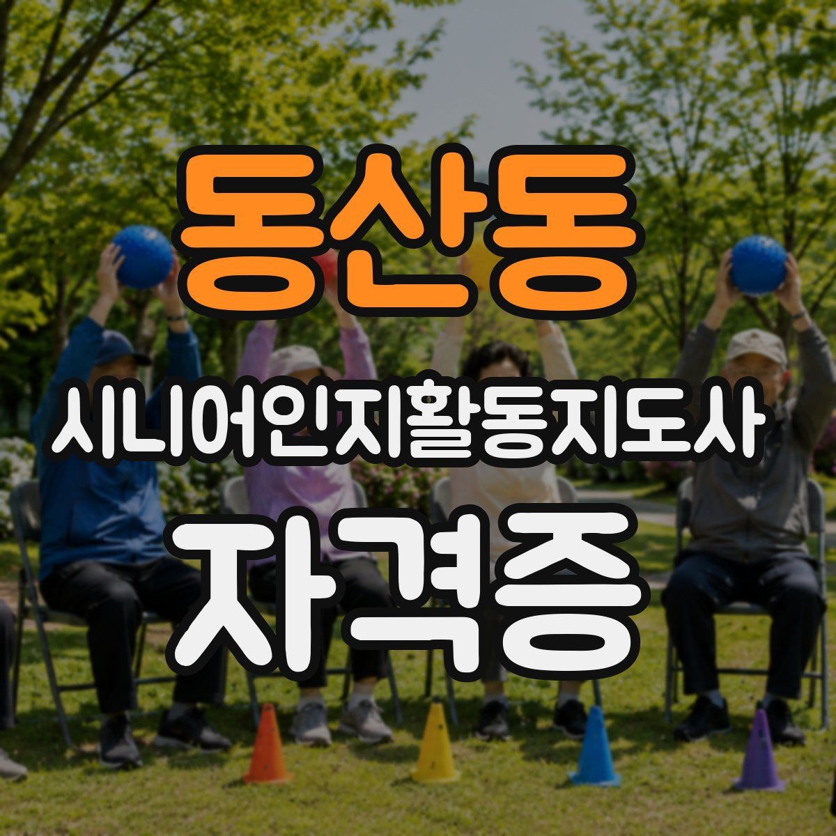 동산동 시니어인지활동지도사 자격증