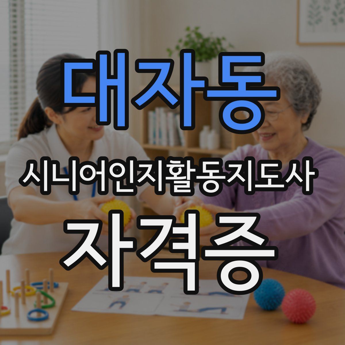 대자동 시니어인지활동지도사 자격증