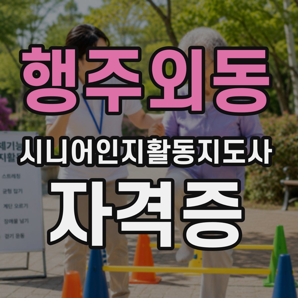 행주외동 시니어인지활동지도사 자격증
