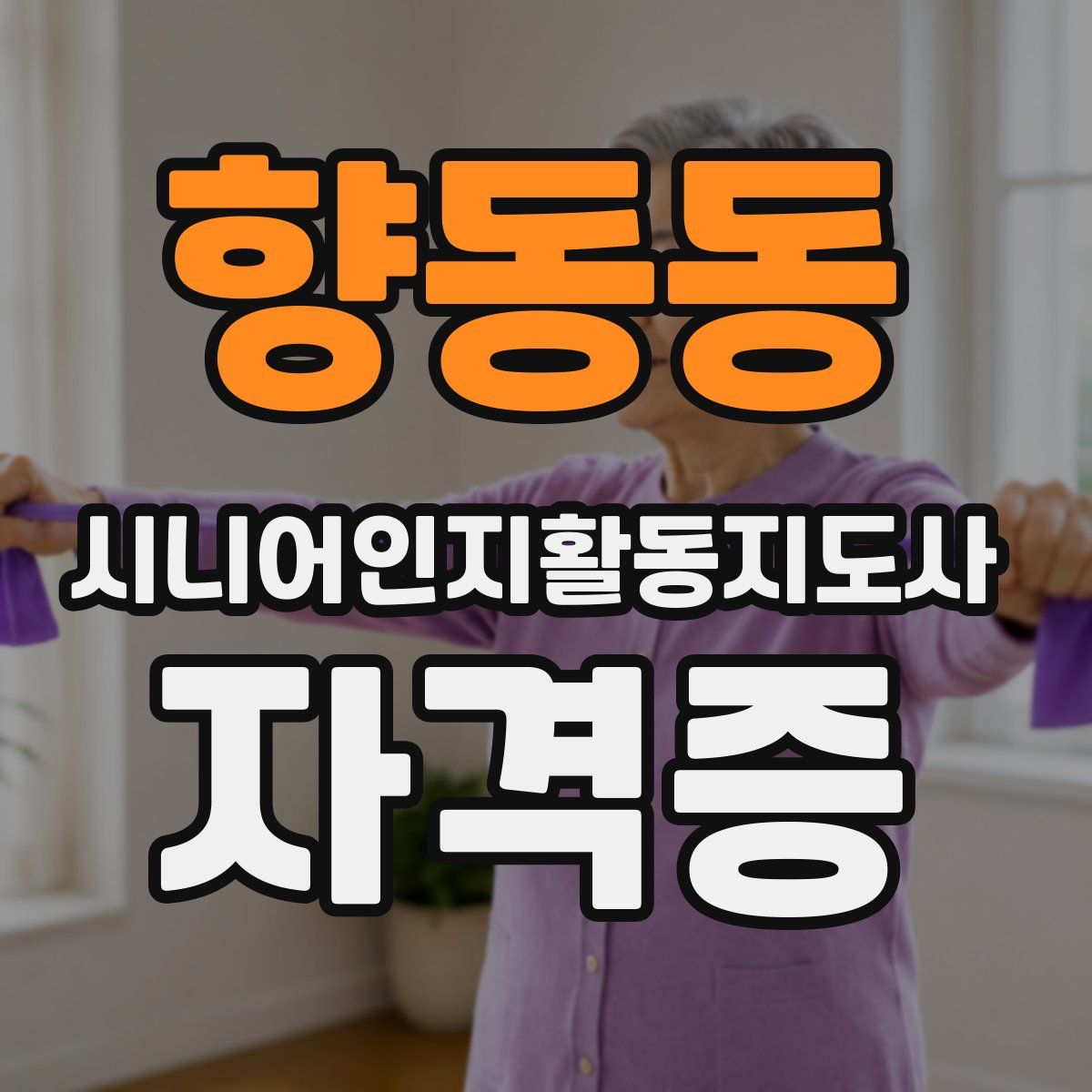 향동동 시니어인지활동지도사 자격증