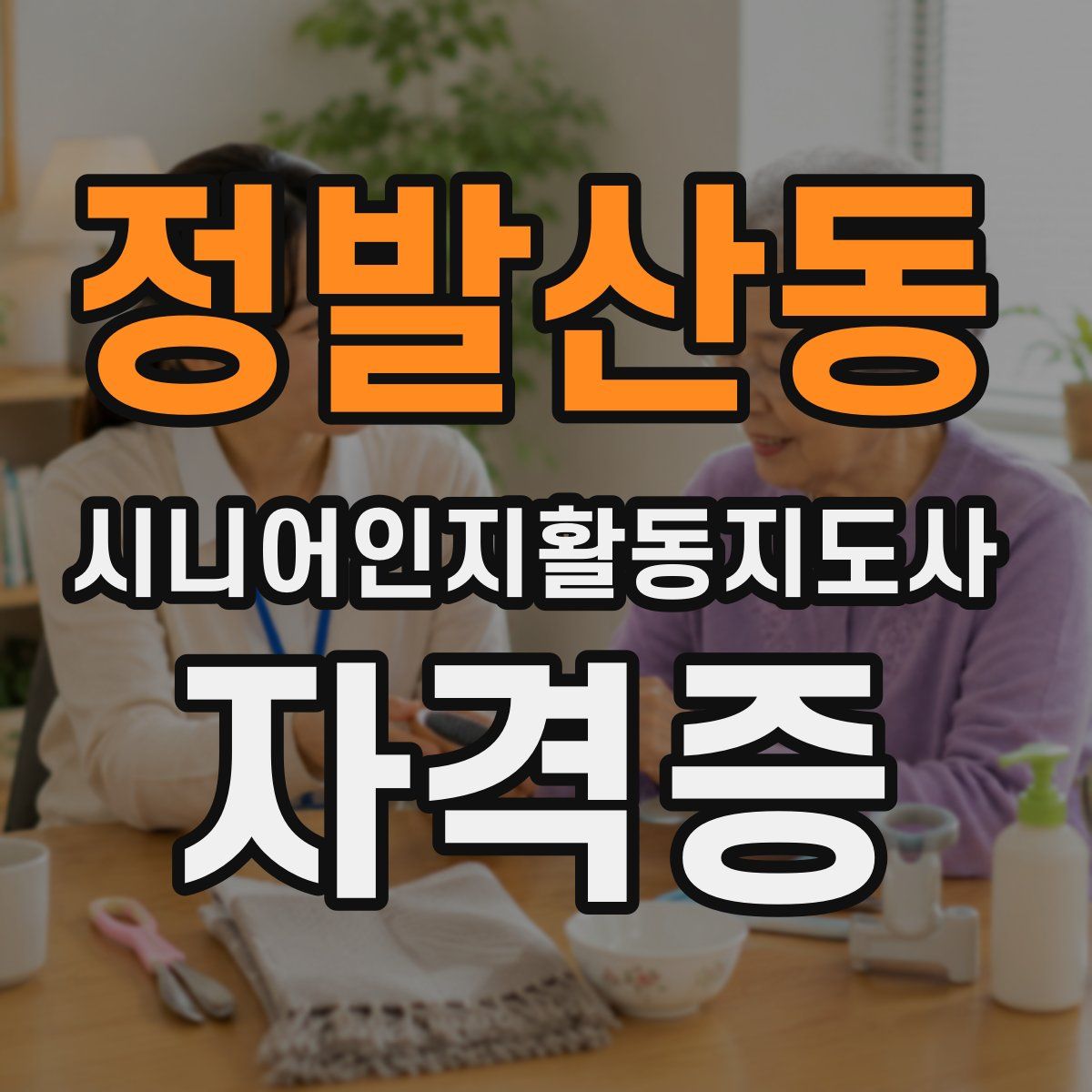 정발산동 시니어인지활동지도사 자격증