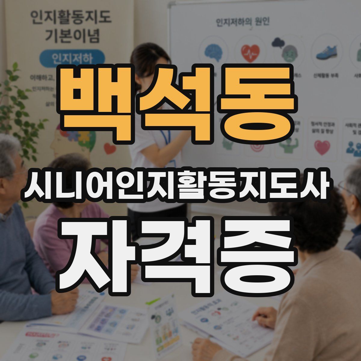 백석동 시니어인지활동지도사 자격증