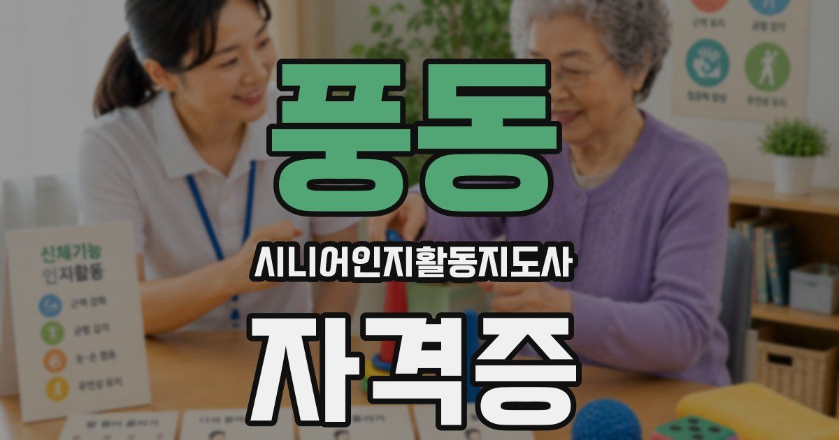 풍동 시니어인지활동지도사 자격증