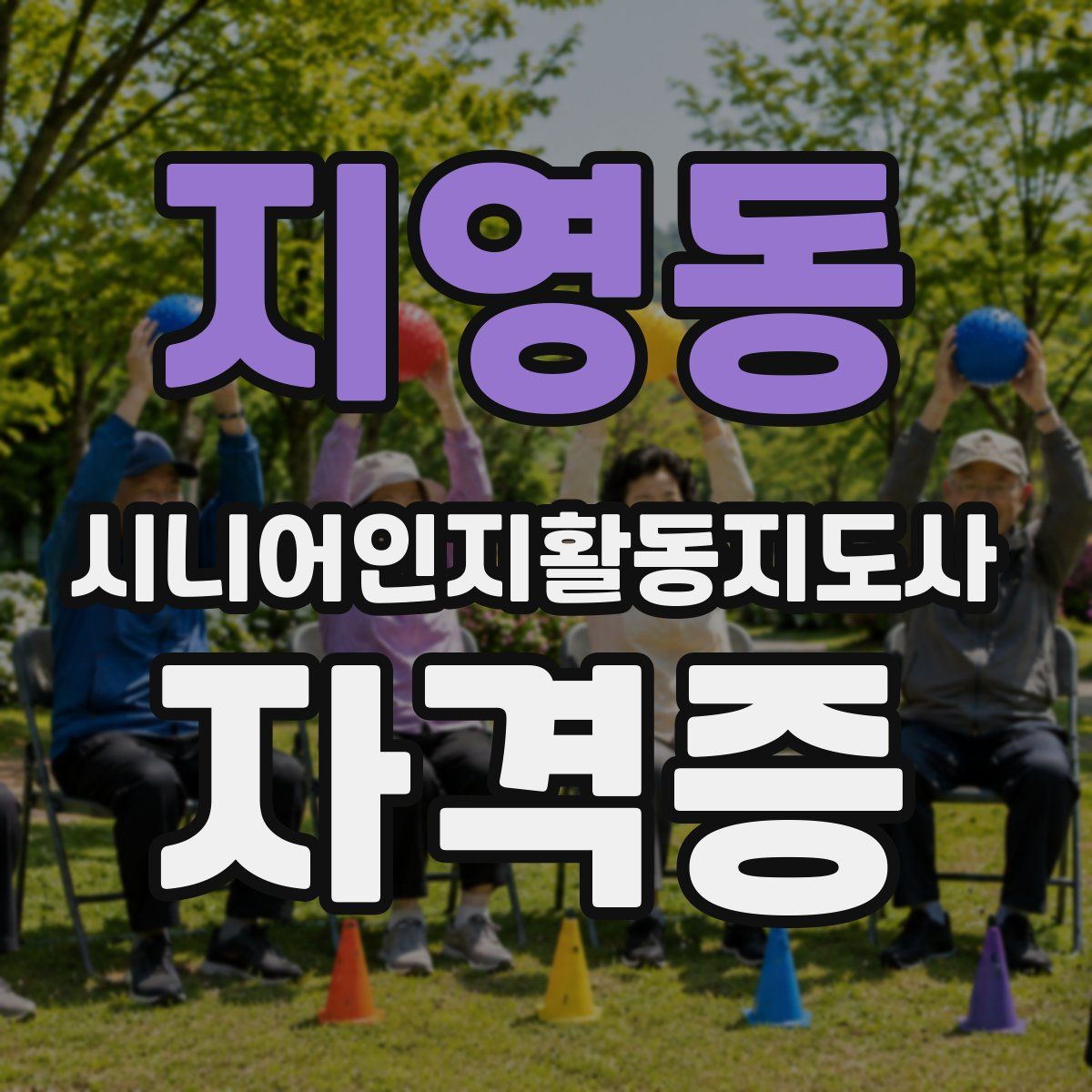 지영동 시니어인지활동지도사 자격증