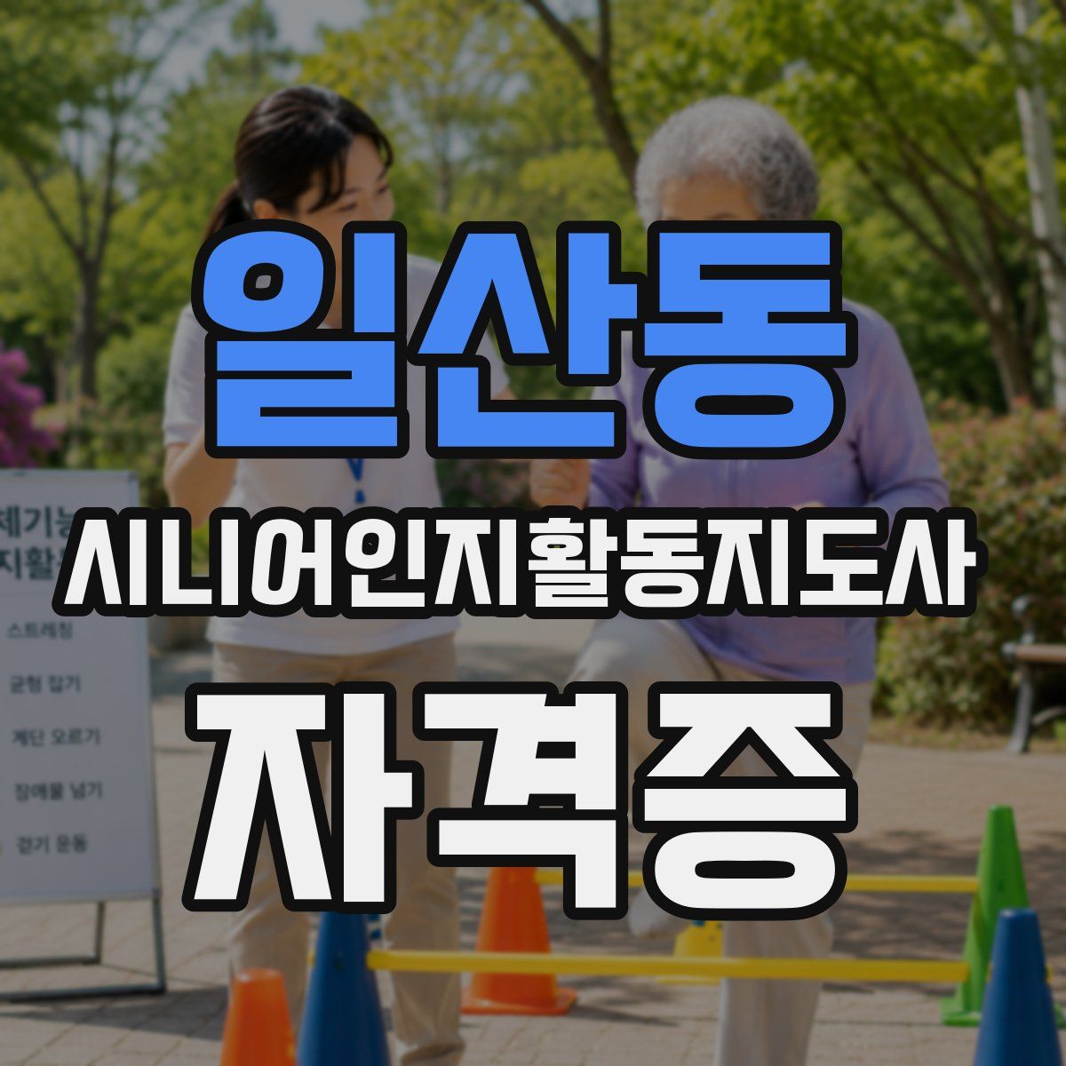일산동 시니어인지활동지도사 자격증