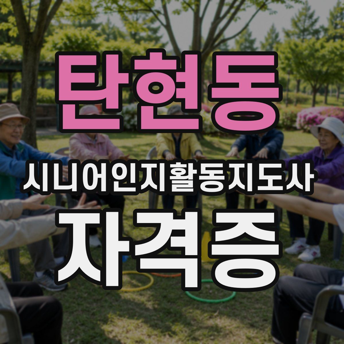 탄현동 시니어인지활동지도사 자격증