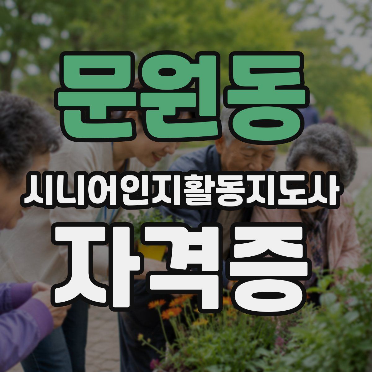 문원동 시니어인지활동지도사 자격증