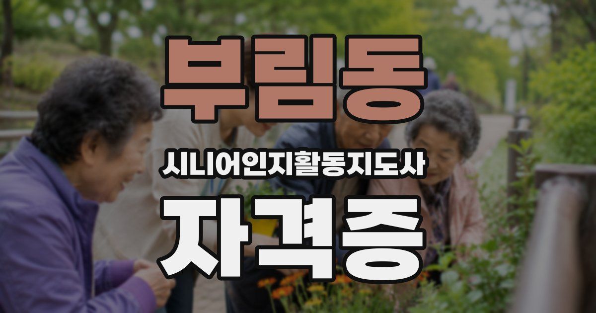 부림동 시니어인지활동지도사 자격증