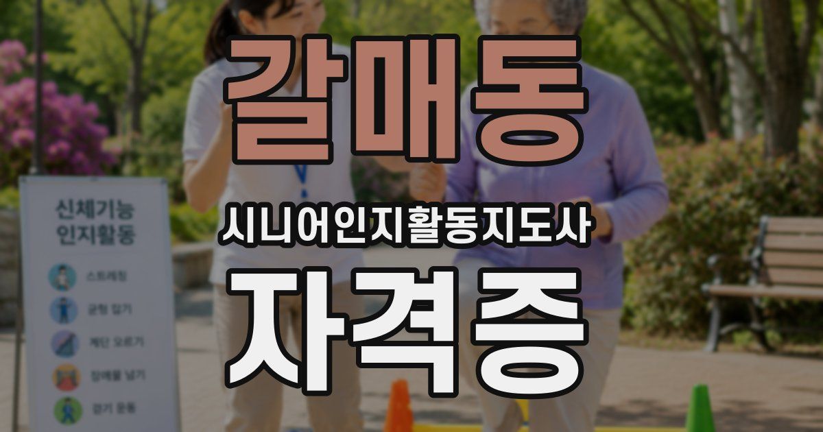 갈매동 시니어인지활동지도사 자격증