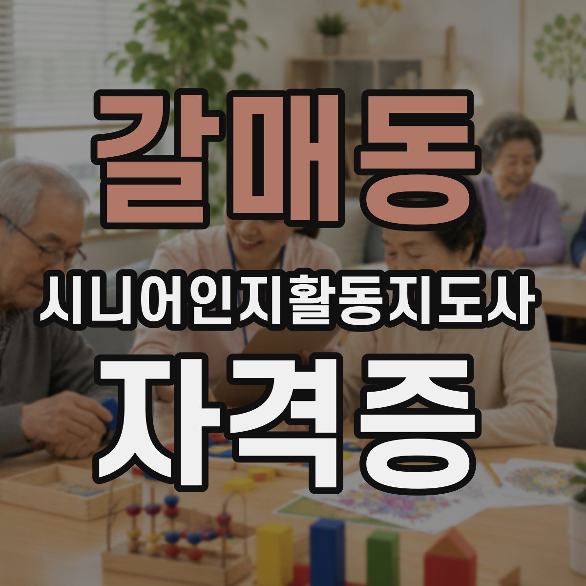 갈매동 시니어인지활동지도사 자격증