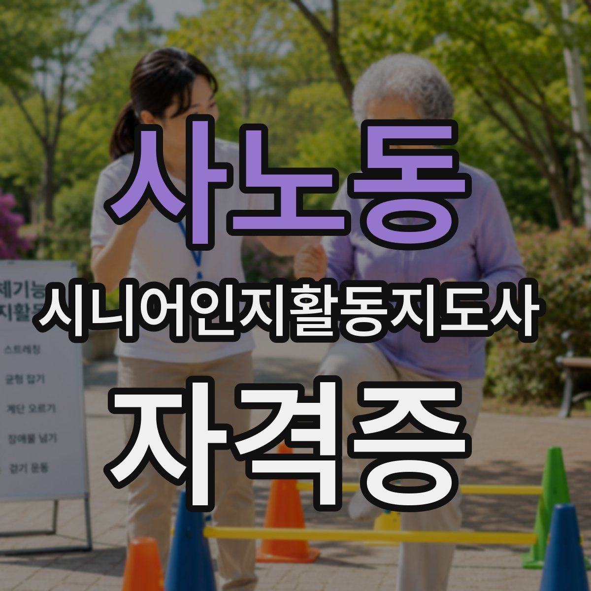 사노동 시니어인지활동지도사 자격증