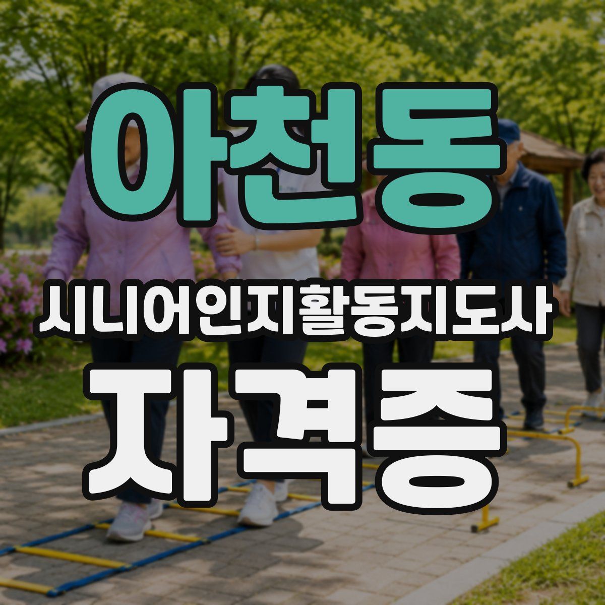 아천동 시니어인지활동지도사 자격증
