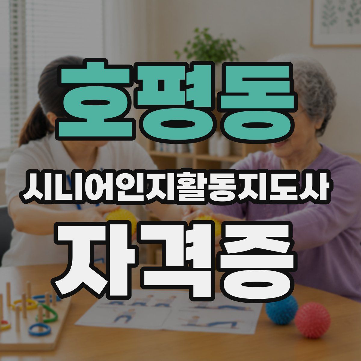 호평동 시니어인지활동지도사 자격증