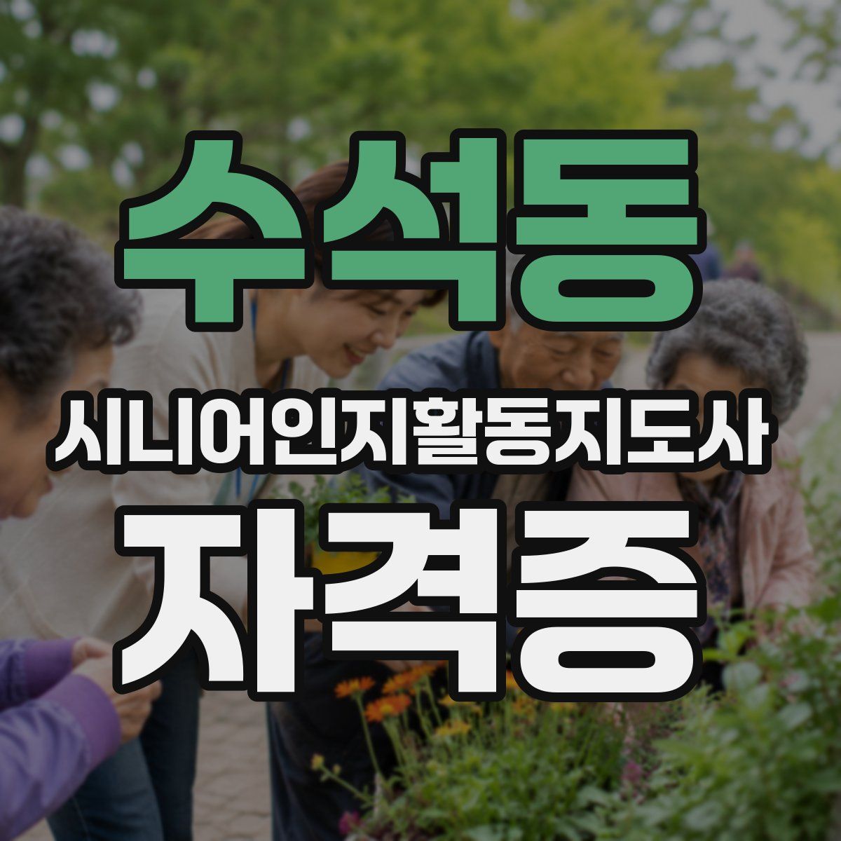 수석동 시니어인지활동지도사 자격증