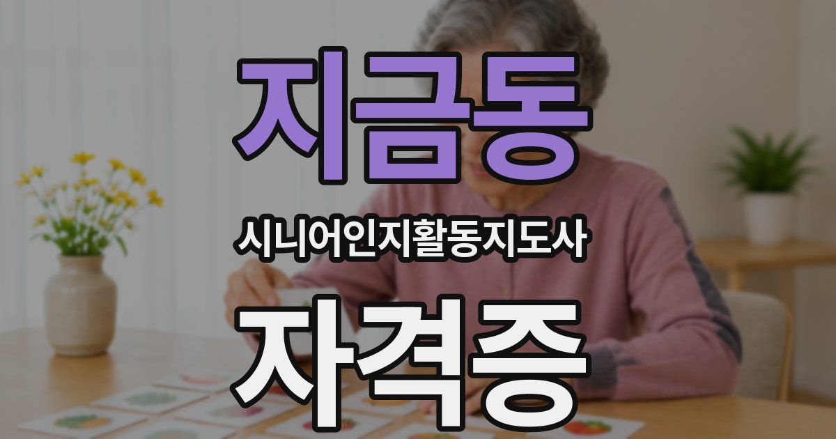 지금동 시니어인지활동지도사 자격증