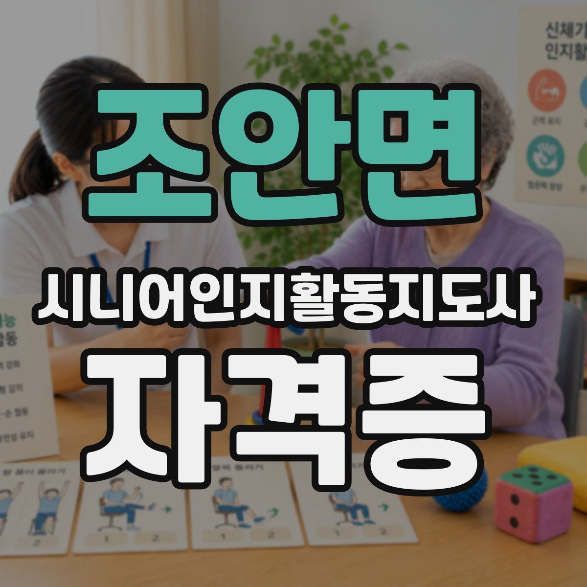 조안면 시니어인지활동지도사 자격증