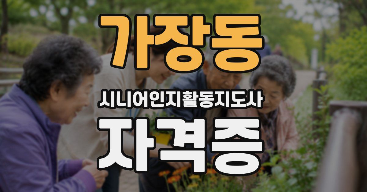 가장동 시니어인지활동지도사 자격증