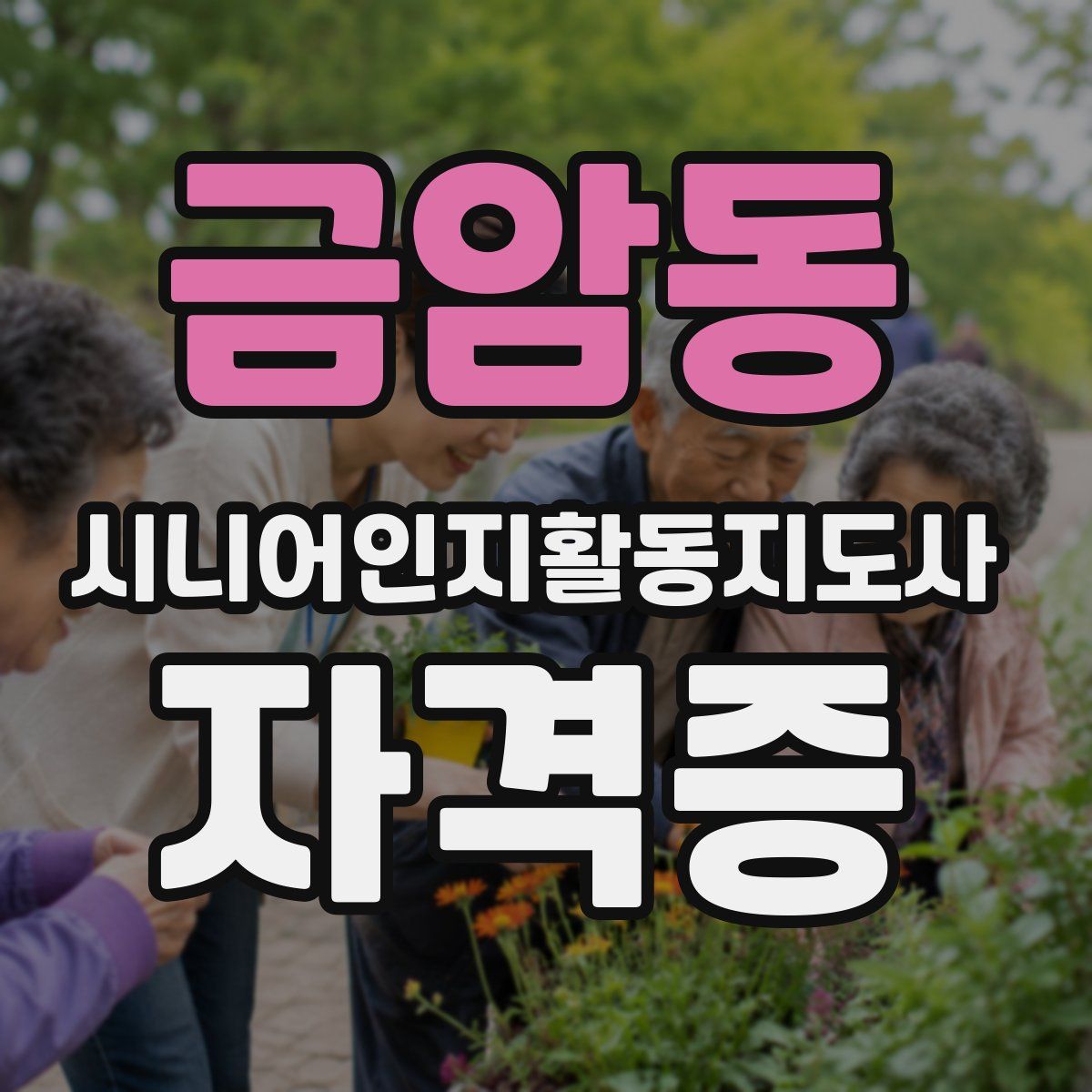 금암동 시니어인지활동지도사 자격증