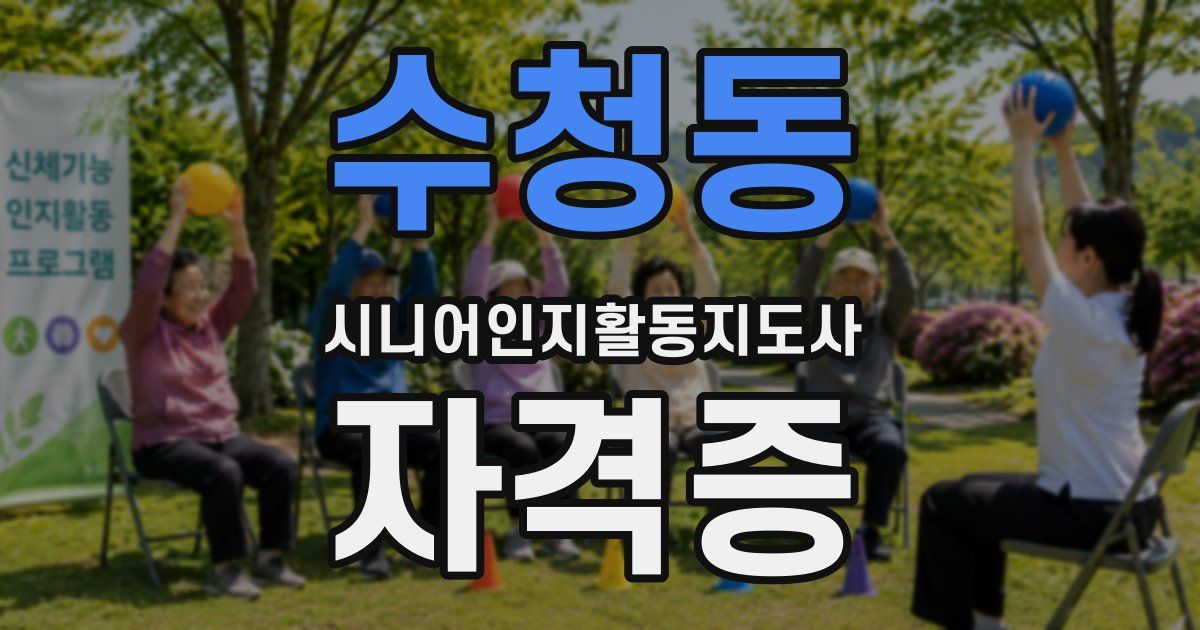 수청동 시니어인지활동지도사 자격증