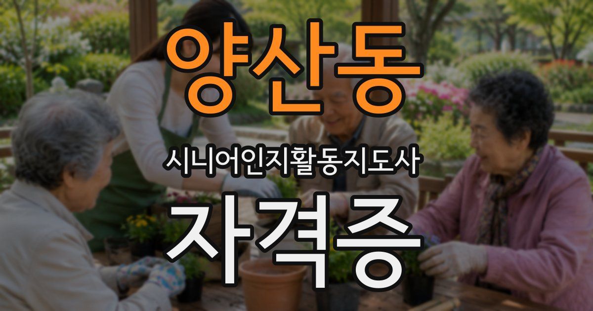 양산동 시니어인지활동지도사 자격증