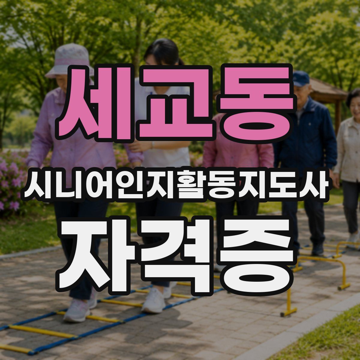 세교동 시니어인지활동지도사 자격증