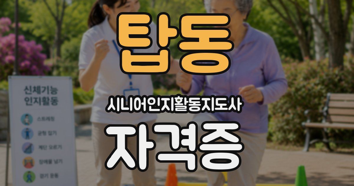 탑동 시니어인지활동지도사 자격증