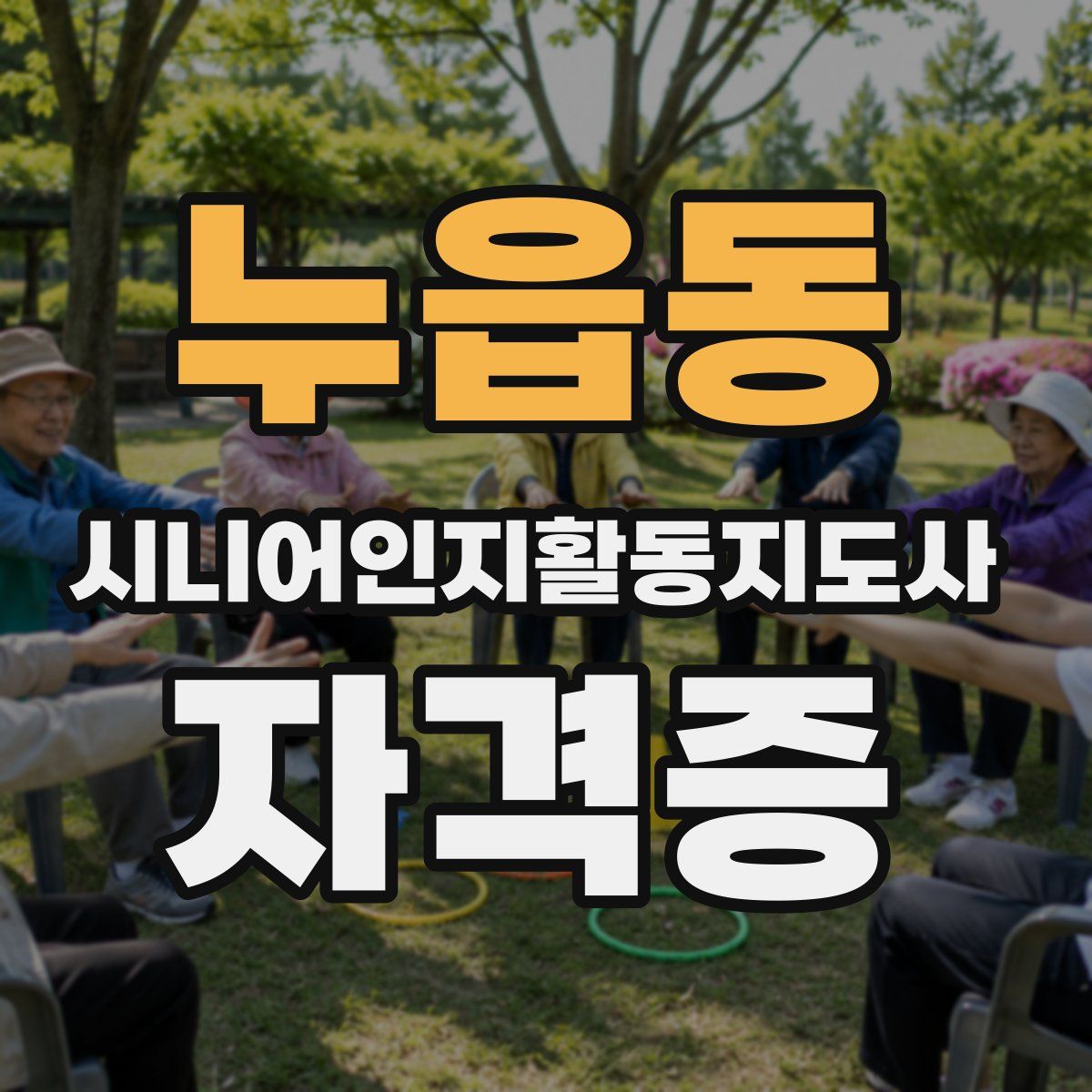 누읍동 시니어인지활동지도사 자격증