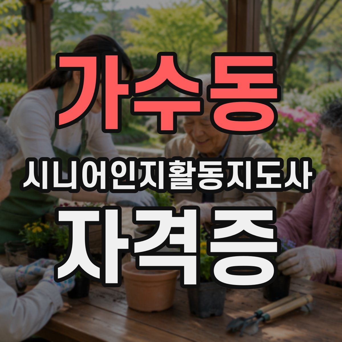 가수동 시니어인지활동지도사 자격증